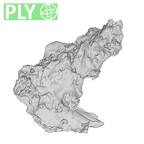 SK 49 Paranthropus robustus cranial fragment ply