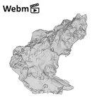 SK 49 Paranthropus robustus cranial fragment ply movie