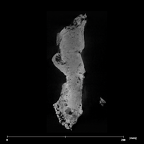 SK 49 Paranthropus robustus cranium internal