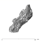 SK 49 Paranthropus robustus cranium lateral left