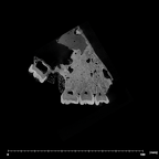 SK 52 Paranthropus robustus maxilla internal