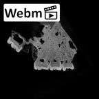 SK 52 Paranthropus robustus maxilla ct stack movie