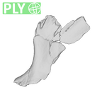 SK 54 Paranthropus robustus cranial fragment ply