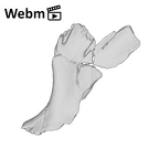 SK 54 Paranthropus robustus cranial fragment ply movie