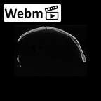 SK 54 Paranthropus robustus cranium ct stack movie