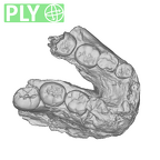 SK 55b Paranthropus robustus mandible ply