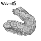 SK 55b Paranthropus robustus mandible ply movie