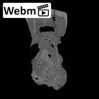 SK 5 Paranthropus robustus LLM2 ct stack movie