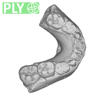 SK 61 Paranthropus robustus mandible ply
