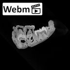 SK 62 Paranthropus robustus mandible ct stack movie