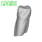 SK 65a Paranthropus robustus URC ply