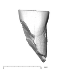 SK 67 Paranthropus robustus URI1 labial