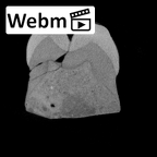 SK 6 Paranthropus robustus LRM3 ct stack movie