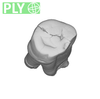 SK 72 Paranthropus robustus LLP3 ply