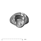 SK 73 Paranthropus robustus URI1 apical