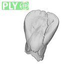 SK 73 Paranthropus robustus URI1 ply