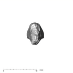SK 74b Paranthropus robustus LRI1 apical