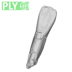 SK 74b Paranthropus robustus LRI1 ply