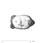 SK 74c P. robustus URP4