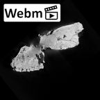 SK 79 Paranthropus robustus cranium ct stack movie