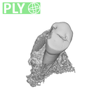 SK 821 Paranthropus robustus ULP3 ply
