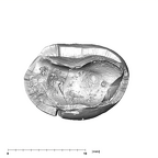 SK 822 Paranthropus robustus ULP3 apical