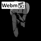 SK 830 Paranthropus robustus LLP4 ct stack movie