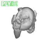 SK 830 Paranthropus robustus LLP4 ply