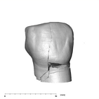 SK 831 Paranthropus robustus LRP3 buccal