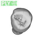 SK 831 Paranthropus robustus LRP3 ply