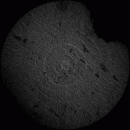 SK 838a Paranthropus robustus partial right maxilla gif