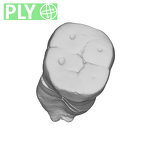 SK 838b Paranthropus robustus LLM1 ply