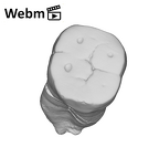 SK 838b Paranthropus robustus LLM1 ply movie