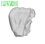 SK 839 Paranthropus robustus ULI1 ply
