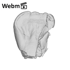 SK 839 Paranthropus robustus ULI1 ply movie