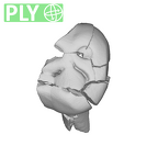 SK 839 Paranthropus robustus URDM1 ply