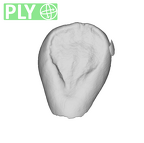 SK 839 Paranthropus robustus URI2 ply