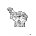 SK 83 Paranthropus robustus cranium anterior