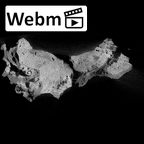 SK 83 Paranthropus robustus temporals ct stack movie