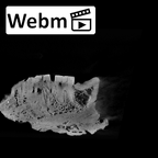 SK 844 Paranthropus robustus partial mandible ct stack movie