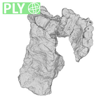 SK 845.SK 14251 Paranthropus robustus partial maxilla ply