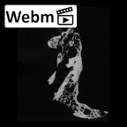 SK 847 Homo left temporal ct stack movie