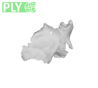 SK 847d Homo cranial fragment ply