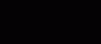 SK 847e Homo cranial fragment gif