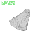 SK 847h Homo cranial fragment ply
