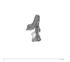 SK 847k Homo cranial fragment 2