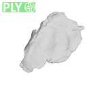 SK 847k Homo cranial fragment ply