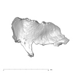 SK 847l Homo cranial fragment 6 1