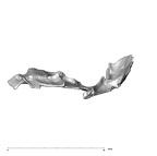 SK 847l Homo cranial fragment 6 4