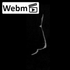 SK 847l Homo cranial fragment 6 ct stack movie